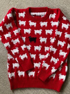 Princess Diana Black Sheep Sweater